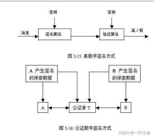 計算機網(wǎng)絡安全 技術開發(fā)與應用期末綜述